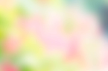 Texture blur color green and pink background nature blur pastel
