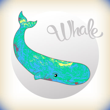 Vector image of a whale. Can be used for the design of sites, postcards, drawings for textiles, etc.