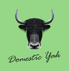 Vector Illustrated portrait of Domestic yak