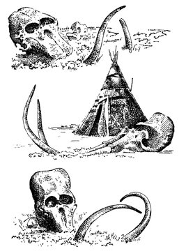 Stone age vector Caveman or troglodyte illustration, mammoth skeleton and skull. prehistoric aged hand drawn or engraved illustration, ancient period concept