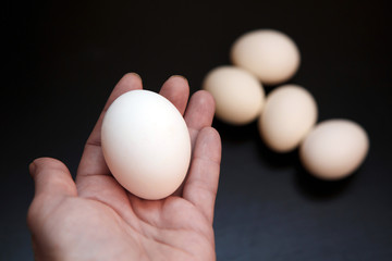 Egg a white chicken in hand. Natural rustic food that gave birth to birds. Easter still life eggs clean.