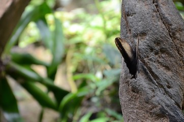 botanicka zahrada praha