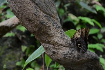 botanicka zahrada praha