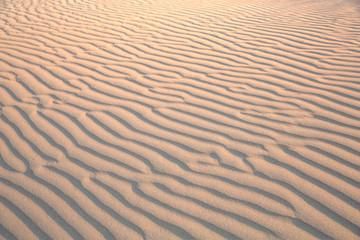 Sand dune ripples