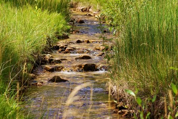 Mountain Creek