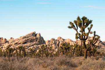 Southern California Desert Hills Landscape