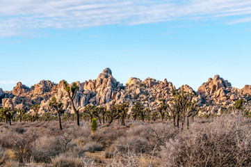 Rocks, hills and trees of the Coachella Valley in the southern California desert