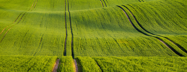 Panorama of a spring field in Germany, agricultural land in Brandenburg