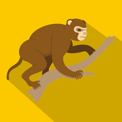 Monkey sitting on a branch icon, flat style