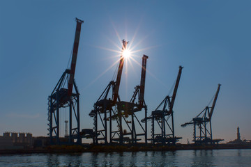 In the evening, the silhouette of port cranes, Genoa