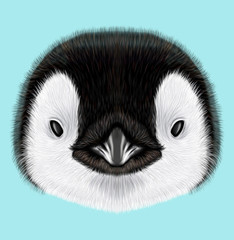 Illustrated portrait of Emperor penguin chick © ant_art19