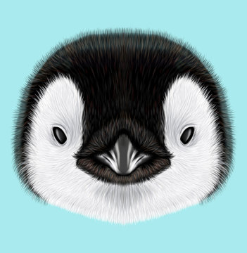 Illustrated portrait of Emperor penguin chick