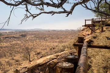Fotobehang Panorama of Desert Landscape in Mapungubwe National Park, South Africa, Africa © wagner_md