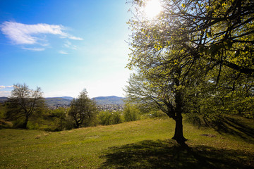 Hills in the spring