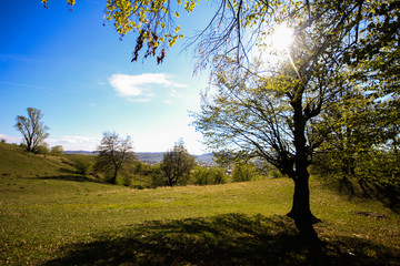Fototapeta na wymiar Hills in the spring