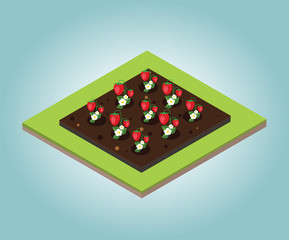 Garden in spring. Isometric icon set. Strawberry bed. Vector illustration.