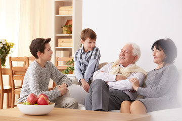 Obraz na płótnie Canvas Boys talking with grandparents