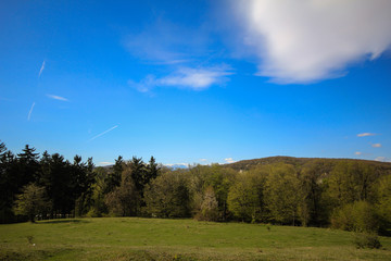 Hills in the spring