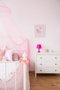 Commode and conopy bed