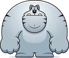 Cartoon Cat