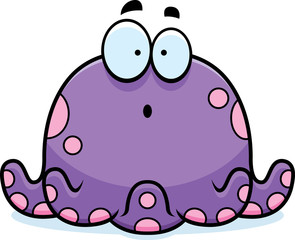 Surprised Little Octopus