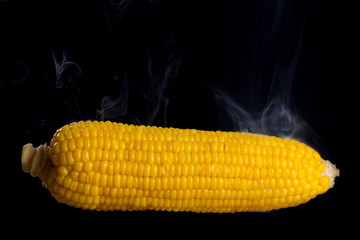 Steaming hot sweet corn on black background.