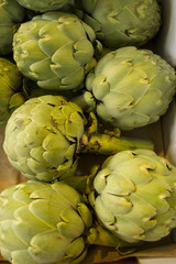 Fototapeta premium Artischocken