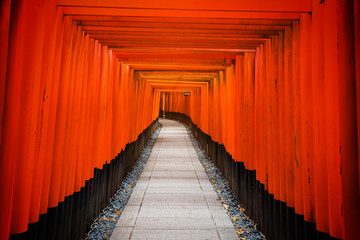 Tori Gate at Fushimi Inari, Kyoto