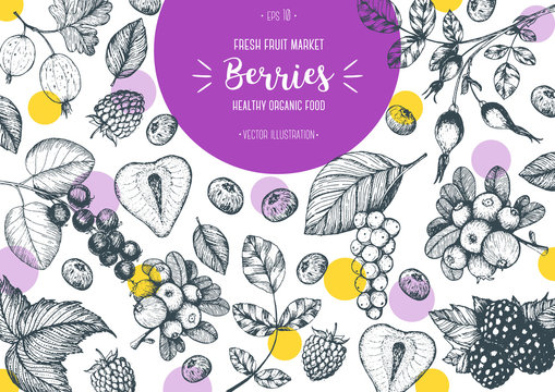 Berries hand drawn vector illustration frame. Healthy food design template with berries