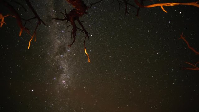 Linear, pan and tilt night timelapse of dead abstract acacia tree with the Milky way passing behind the texture of the branches, rotating available on request.