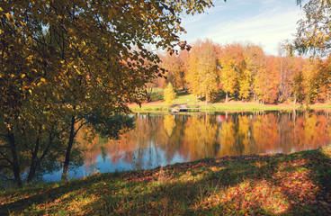 Fototapeta na wymiar Sunny autumn landscape with small pond