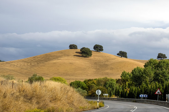Spanien - Andalusien - Sierra de Grazalema