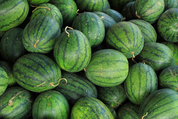Watermelon