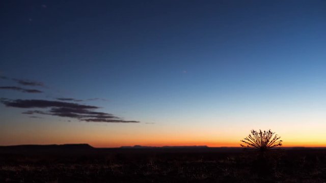 A static dramatic sunset of a Karoo Landscape with a characteristic yet abstract dried out Bushman Poison Plant/Gifbol bulb