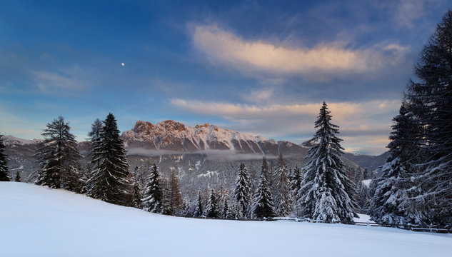 Europe,Italy,Dolomites,Fassa Valley,Trentino..alpine environment