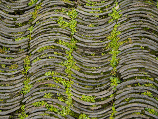 old brick floor background