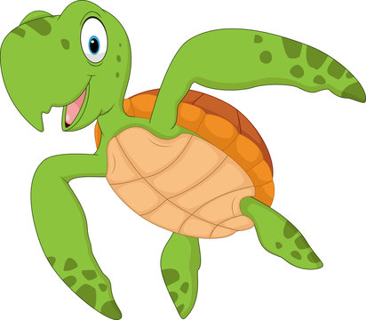 Cartoon turtle isolated on white background