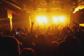 crowd at a rock concert spotlight background blur