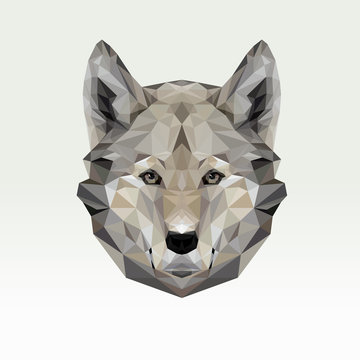 Vector portrait of wolf polygonal. Triangle dog illustration for use as a print on t-shirt and poster. Dog geometric low poly design. Wild dangerous animal.
