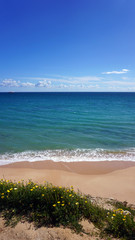 armacao de pera poente