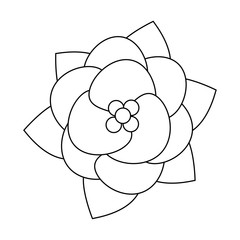 beauty flower nature decorative outline vector illustration eps 10