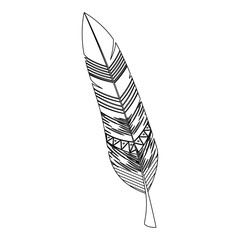 feather decorative isolated icon