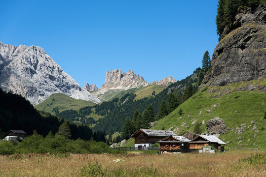 Italy,Trentino,Dolomites,Fassa Valley, Europe, Duron valley, Schilliar, Val Duron..Site of Community Importance