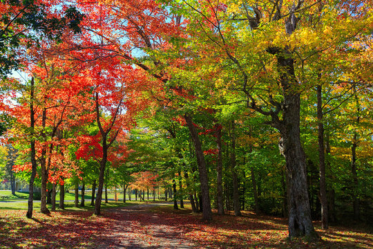 Brilliant fall foliage in rural Nova Scotia, Canada.
