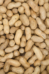 Raw peanuts in shells