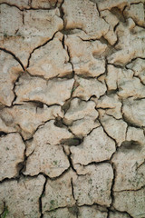 Foot print on the ground and Cracks. Dried mud with foot print.