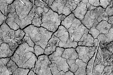 Dried cracked land. Drought and lack of moisture in the soil. Texture of the dead ground. The consequences of abnormal heat. The climate of the desert. Environmental disaster. Global warming.