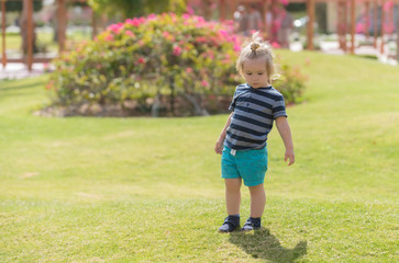 Fototapeta premium cute baby boy playing on green grass