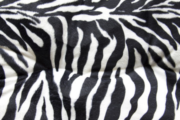 Fototapeta na wymiar Zebra texture with beige white and black