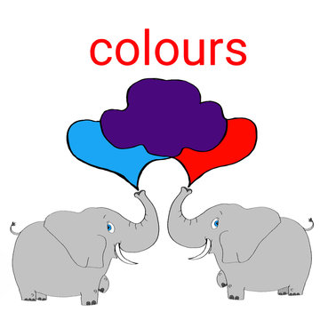 main colors